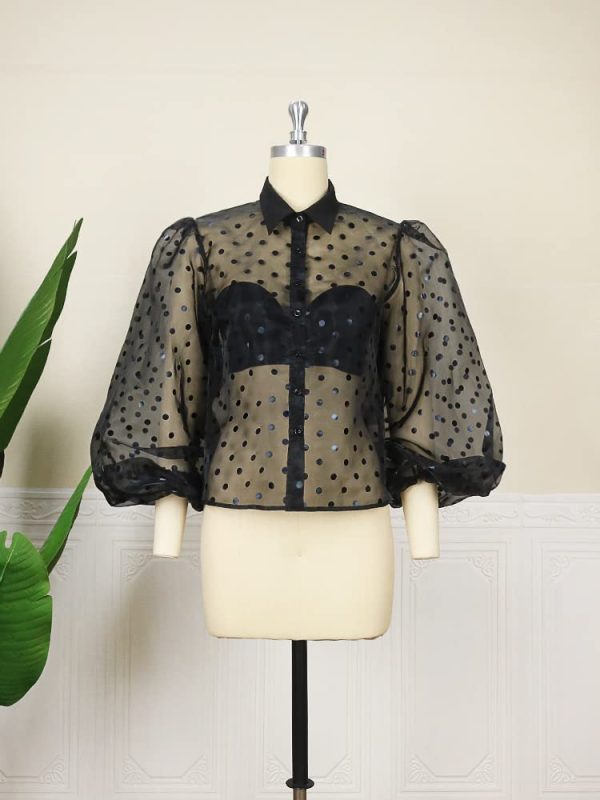 Women's Button Down Shirt Polka Dots Sheer See Through Long Sleeve Blouse Mesh Sheer Puff Sleeves Top