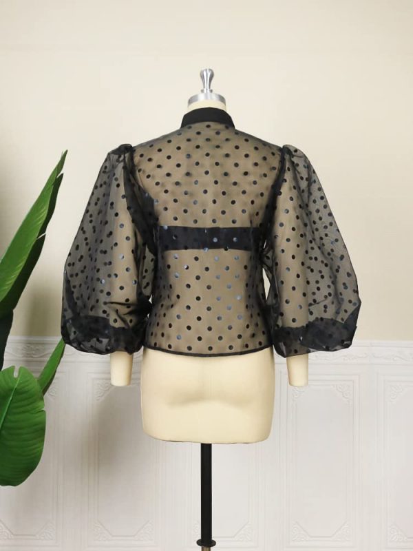 Women's Button Down Shirt Polka Dots Sheer See Through Long Sleeve Blouse Mesh Sheer Puff Sleeves Top