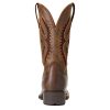 Women's Hybrid Rancher Venttek 360° Western Boot
